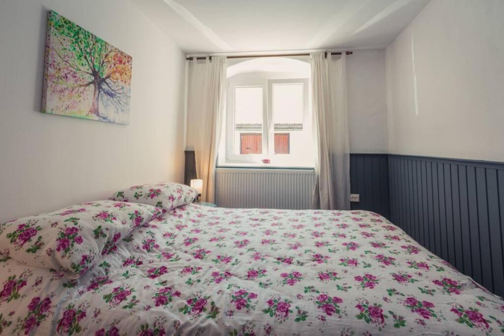 סיביו Lamp Street Apartment מראה חיצוני תמונה